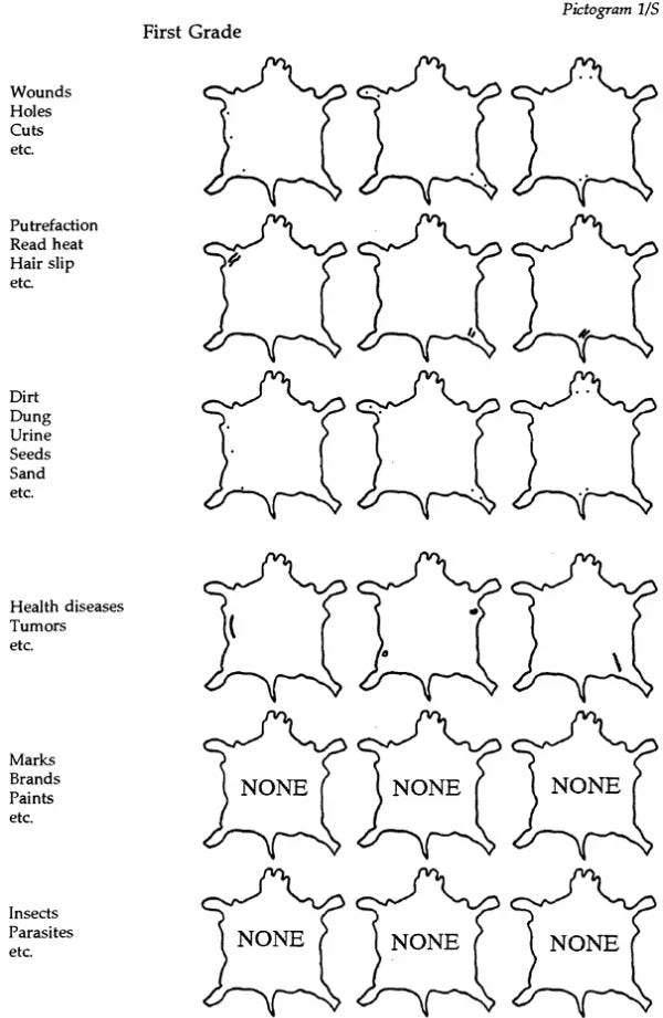 自然な表情が語る、革の品質